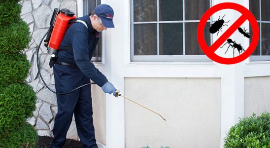 Ağlasun Böcek İlaçlama böcek ilaçlama ve haşere kontrolü — ilaclama-tr.com